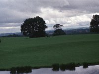 Image21