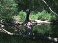Image07