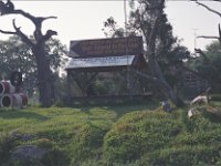 Image14