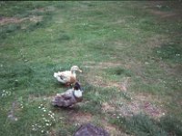 118image10