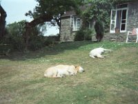 118image19