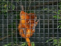 P0000489