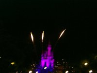 P0000597