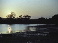 Image08