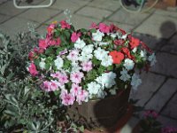 Image34