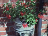 Image39