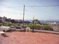 Image19