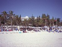 Image11