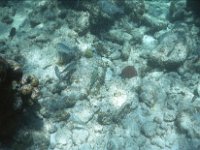 Image13