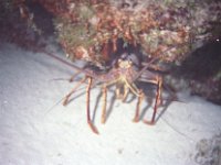 image06