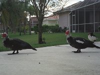 047image25