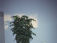 047image32