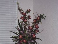 047image33