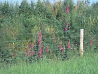 083image07