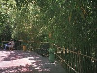094image006
