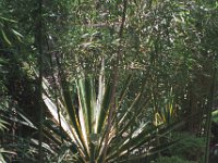 094image008