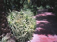 094image010