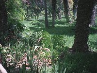 094image017