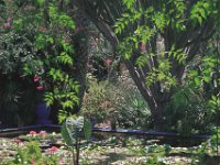 094image030