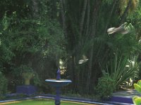 094image036