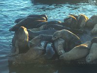096image025
