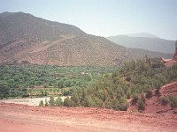 098image034