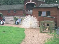 099image009