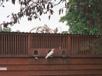 099image010