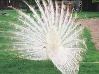099image011