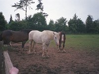 099image014