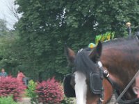 099image023