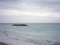 100image003