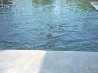 101image006