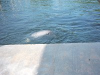 101image007