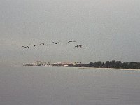 103image014