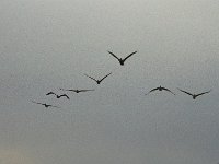 103image015