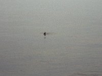 103image017