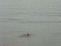 103image019