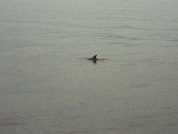 103image020