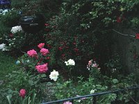 105image027