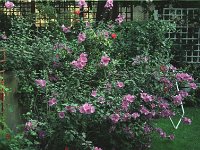 105image028