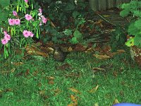 107image013