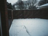 131image07