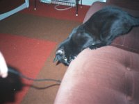 131image15