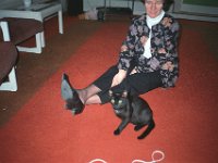 131image24