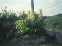 132image12