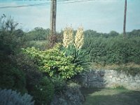 132image14