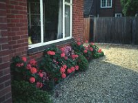 132image17