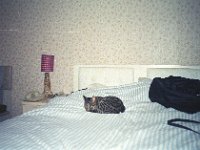 132image18