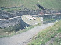 135image11